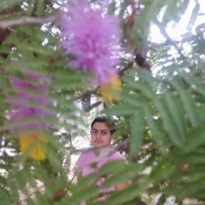 Img